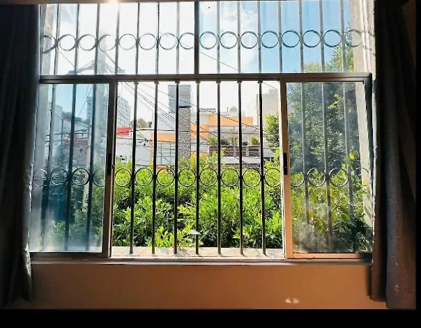 Casa Isolda Mexico City